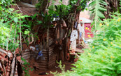 Ruelle de Ouidah au Bnin