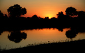 Couch de soleil dans le Delta d'Okavango