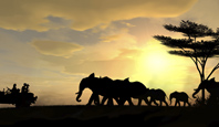 Les Touaregs Les Touaregs